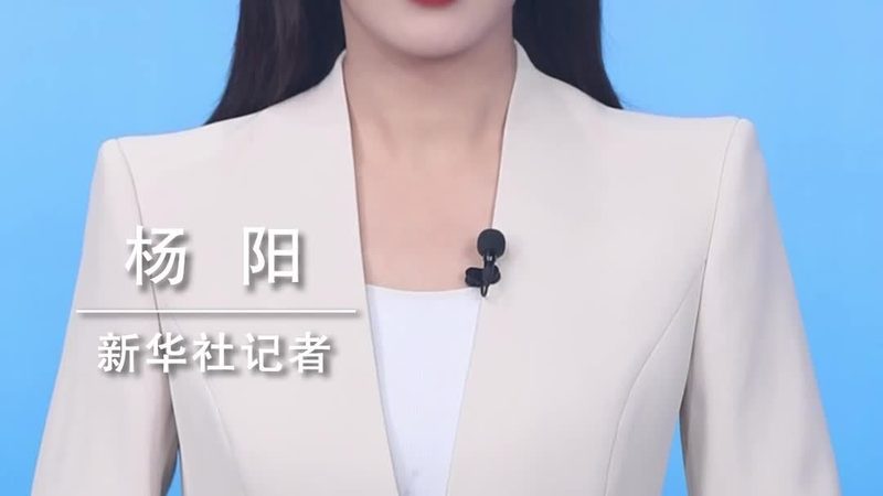 知识图谱存储技术选型：如何应对复杂信息管理挑战